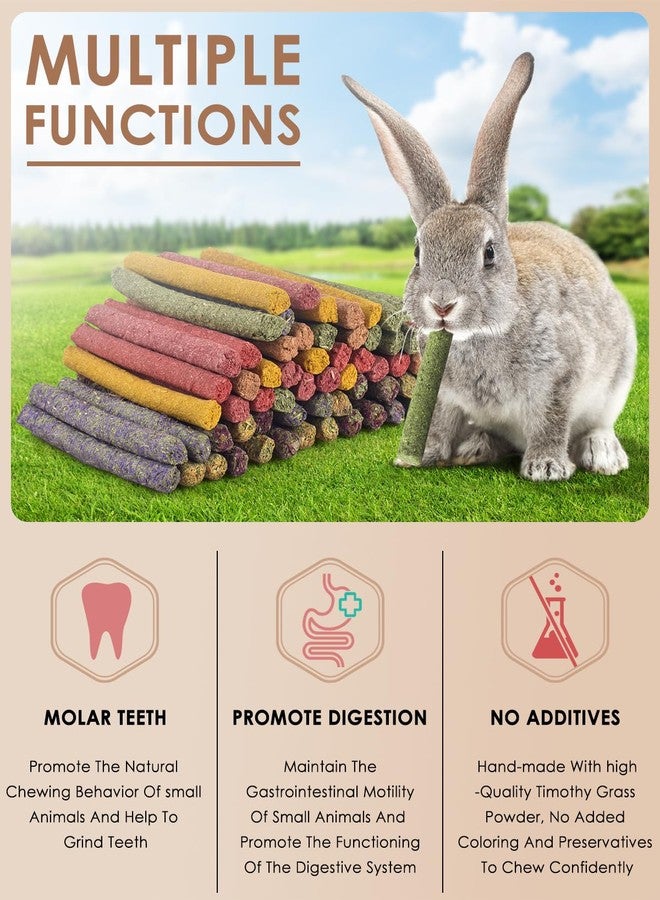 Bissap 72 PCS Rabbit Chew Sticks, Natural Timothy Hay Pumpkin Sugar Beet Carrot Strawberry Rose Dahlberg Daisy Forget-me-not Flower Treat for Bunny Chinchilla Guinea Pig Hamster Small Pet Molar Snack - Image 3